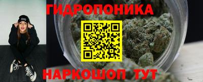 прущие грибы Бузулук