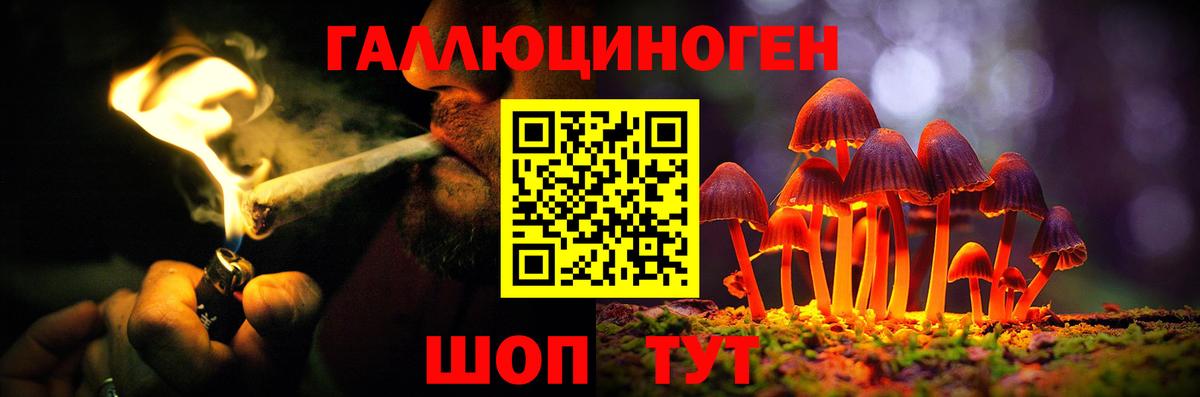 Галлюциногенные грибы Magic Shrooms  Вход с VPN  Курганинск 